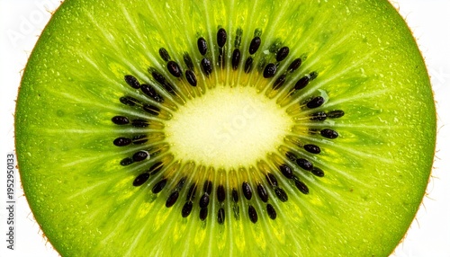 slice of kiwi