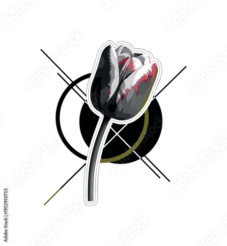 A realistic monochrome tulip with elongated stem, bold circular halo positioned asymmetrically behind it, sharp diagonal lines structuring the layout, layered