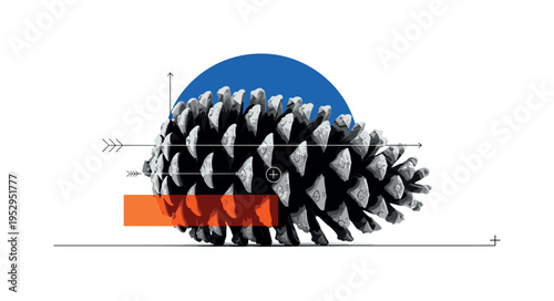 Black and white pine cone resting on minimal surface line, bold blue semicircle behind upper area suggesting sky backdrop, orange rectangle intersecting lower