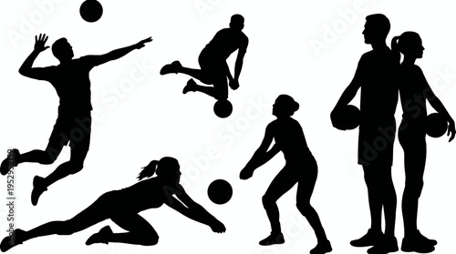 volleyball players in dynamic action poses showing set spike and dig silhouettes on white background, concept for sports promotion, fitness campaign and teamwork development