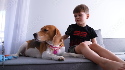 A baby pets his beloved Beagle dog while sitting on the bed.