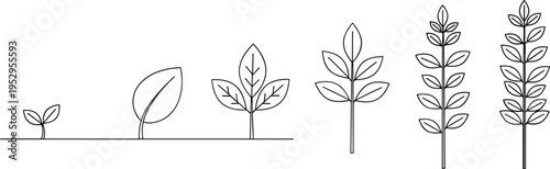 Plant growth stages line icons set with seed sprout leaf development tree progress and nature life cycle symbols collection