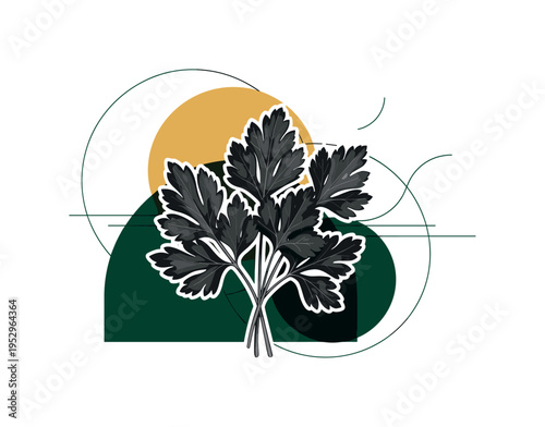 Black and white realistic parsley leaves with detailed texture, cut-out effect with white outline around the bunch, layered over bold geometric circles in deep