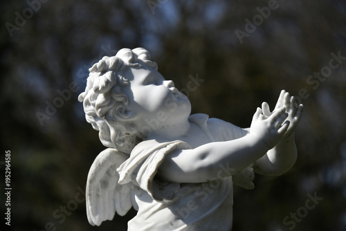 Wallpaper Mural grabengel Torontodigital.ca