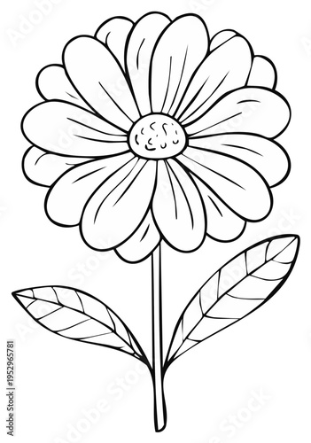 Black and White Line Art Drawing of a Daisy Flower with Petals and Leaves