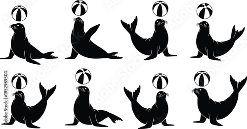 Black silhouette set of circus sea lions balancing striped balls on noses performing tricks isolated on white background for aquatic entertainment
