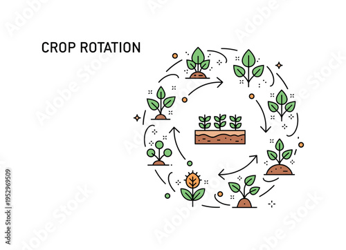 Crop rotation organic practice theme depicted by circular arrows around different plant icons arranged in segments, expressing soil preservation and