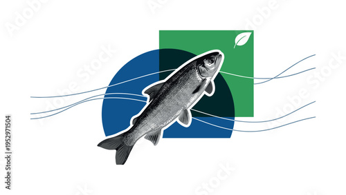 Black and white realistic fish swimming upstream as the main object, retro nature photography texture, cut-out effect with bold white outline, layered over