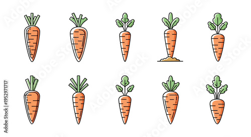 Fresh orange carrots with green tops.