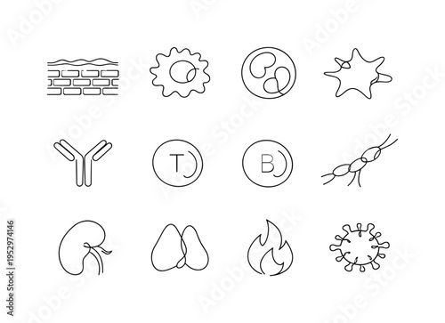 Innate and Adaptive Immunity. Minimalistic set one-line drawing skin barrier layer, macrophage cell, neutrophil cell, antigen shape, antibody Y symbol, T cell
