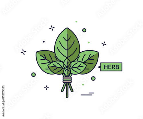 Fresh basil leaves arranged in a small aromatic bunch with visible vein details and a subtle herb label accent, expressing natural fragrance and culinary