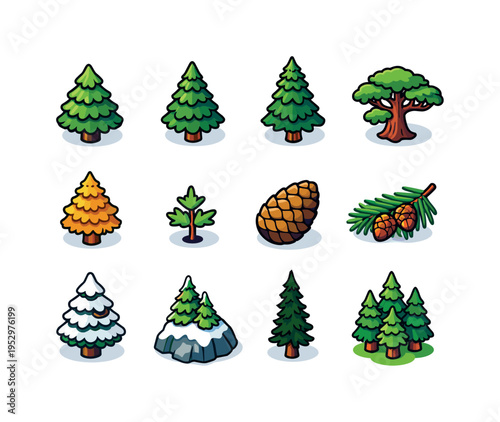 Conifer Trees. Colorful isometric vector icons set of Conifer Trees: pine tree, fir tree, spruce tree, cedar tree, larch tree, conifer sapling, conifer cone,