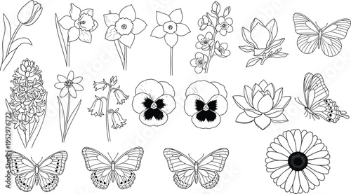 Flower and butterfly line art illustration set, botanical drawing artwork, nature outline design, coloring page graphic, stylized floral concept