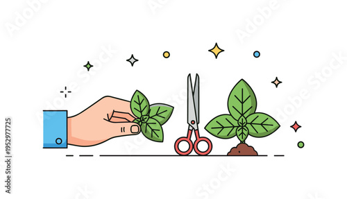 Harvesting fresh basil concept featuring a gentle hand holding trimmed leaves beside a small pair of scissors, symbolizing careful cultivation and home cooking