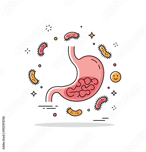Gut microbiome balance represented by a simple stomach shape surrounded by tiny friendly bacteria icons arranged harmoniously. The scene reflects internal