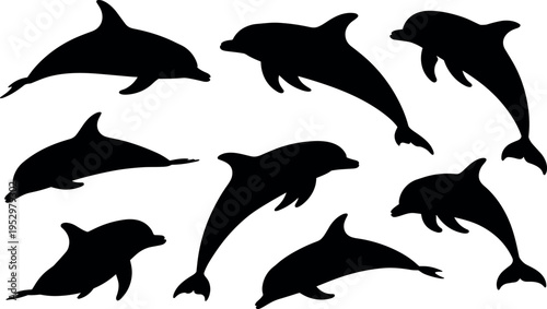 Collection of dolphin silhouettes isolated on white background showing jumping swimming marine animals for ocean wildlife design and vector projects