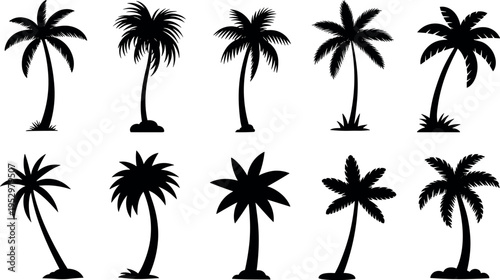 Collection of palm tree silhouettes isolated on white background, tropical beach trees set, summer nature vector illustration for travel and design