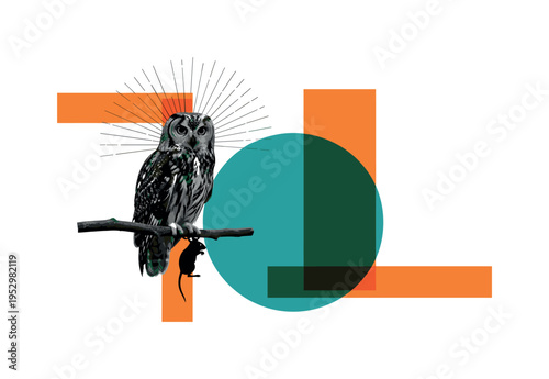 monochrome owl perched with small rodent silhouette symbolically represented, bold teal semicircle backdrop and orange rectangular overlays intersecting