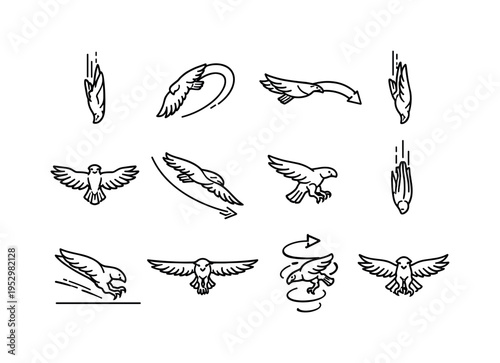 Raptor Flight Maneuvers. Line icon set of Raptor Flight Maneuvers: steep dive flight, banking turn flight, glide to dive transition, wing tuck maneuver, aerial