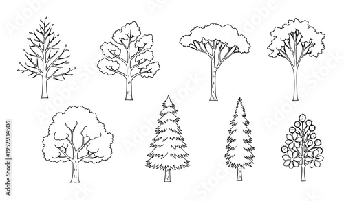 Minimal tree outline sketch vector collection spring landscape elm oak pine and cypress line art set