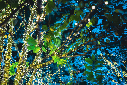 tropical tree with festive LED garland lights at night, branches wrapped in glowing holiday neon fairy lights background, creative design wallpaper, nature abstract decor