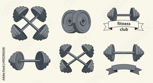 A collection of detailed dumbbells and barbells illustrated in a flat style, perfect for fitness-related themes