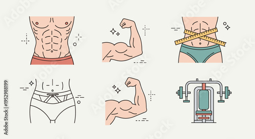 A collection of fitness-themed vector illustrations showcasing muscular physiques and gym equipment in a modern, flat style