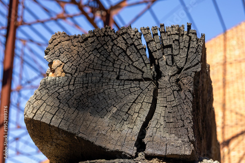 Photos Weathered timber beam showing cracked wood pattern outdoor