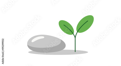 Sprout grows next to smooth stone, symbol of new life and growth