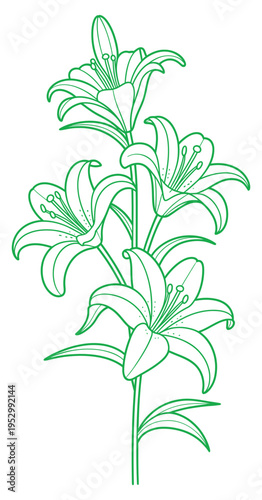 Vibrant green lily flower contour drawing perfect for botanical branding and environmental nature themed graphic design projects