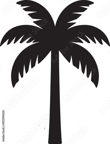 Silhouette of a tall palm tree against a plain background