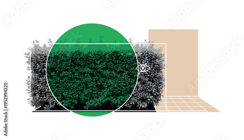 Black and white leafy shrub forming a natural screen, bold emerald geometric circle overlapping foliage, soft beige abstract rectangle representing patio wall,