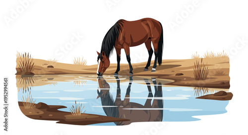 A serene scene of a horse drinking from a calm water body, illustrated in a modern flat style