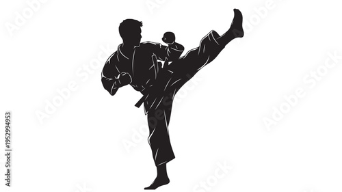 Martial Arts Fighter Performing High Kick Silhouette