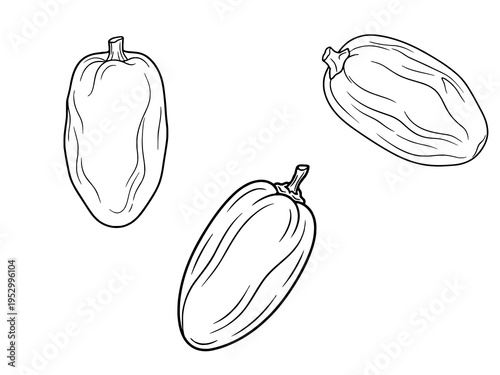 Date Fruit Outline Line Art