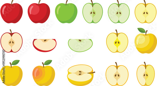 Fresh red green and yellow apple set with halves and slices, cad drawing flat vector illustration.