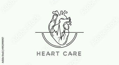 Line art anatomical heart symbol with heartbeat for medical care and health awareness logo design icon concept
