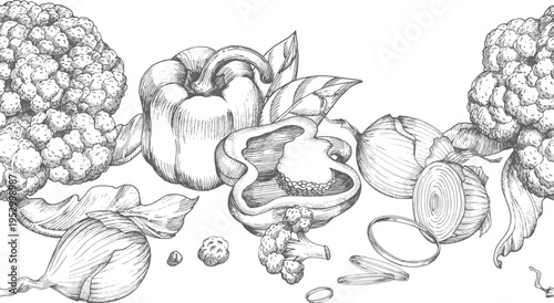 Seamless border of cauliflower, bell pepper and onionVector ink styled handmade illustration. For packaging design, cards, cover, prints, product labels and fabric.