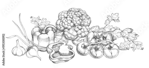 Banner of the garlic, bell peppers, tomatoes, green onion and cauliflower. For packaging design, cards, cover, prints, product labels and fabric.