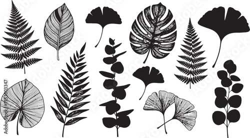 Collection of diverse leaf illustrations in black and white