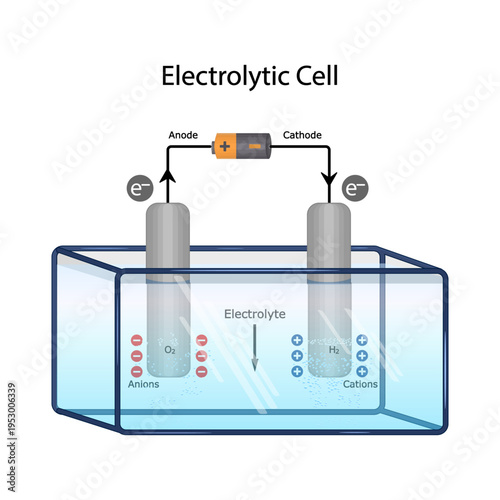 Electrolytic cell diagram with anode and cathode electrodes. Educational scientific infographics of an electrolytic cell with electrolysis process with anode and cathode electrodes. Vector