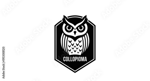 Stylized black and white owl emblem design in a shield shape. Modern graphic icon representing wisdom, knowledge, and nocturnal themes.