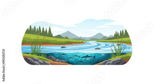 Vector illustration of a river ecosystem showing a cross-section of water with fish swimming, green riverbanks with reeds, pine forest, and distant mountains under a cloudy sky.