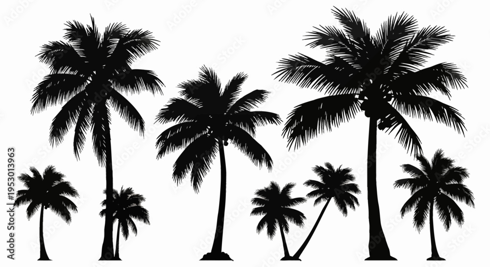 Obraz premium Set of black palm tree silhouettes isolated on white background, including various coconut trees with detailed fronds and trunks for tropical landscape design and summer themes.