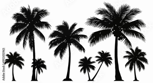 Set of black palm tree silhouettes isolated on white background, including various coconut trees with detailed fronds and trunks for tropical landscape design and summer themes.