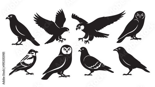 Flying birds silhouette set black crow eagle wings spread