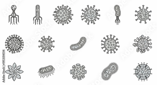 Vector set of fifteen virus and bacteria line icons featuring bacteriophage, coronavirus, influenza, rod-shaped bacilli, microbes, and germs on a white background for medical and science design.