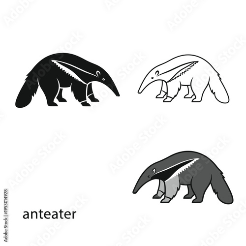 Anteater vector graphics set with silhouette outline and flat colored cartoon animal icon