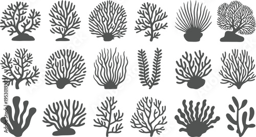 Collection of diverse stylized silhouette coral reef marine life forms isolated on white background for graphic design
