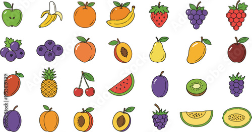 Colorful illustrations of various fruits on white background  many types of fruit